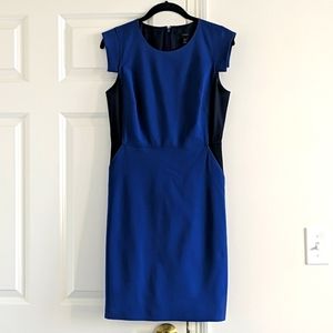 J.Crew Royal Blue & Navy Colorblock Resume Dress